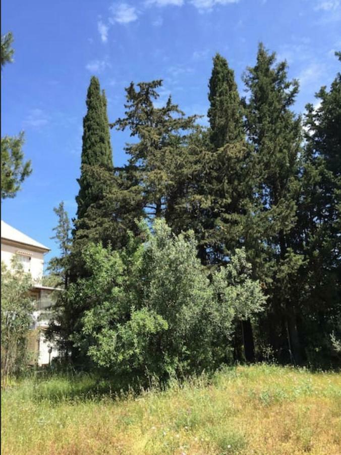 Villa Salomi Lefkáda Exteriér fotografie